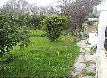 Calle Del Faisan Marbella